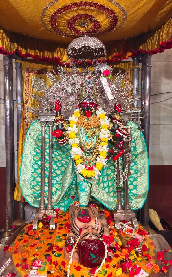 Bhavatarini idol image placeholder
